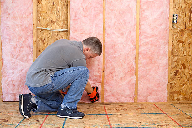 Range of Insulation Solutions in Meadow Woods, FL